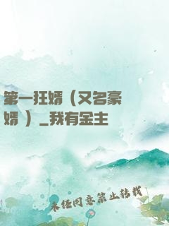 第一狂婿（又名豪門龍婿 ）
